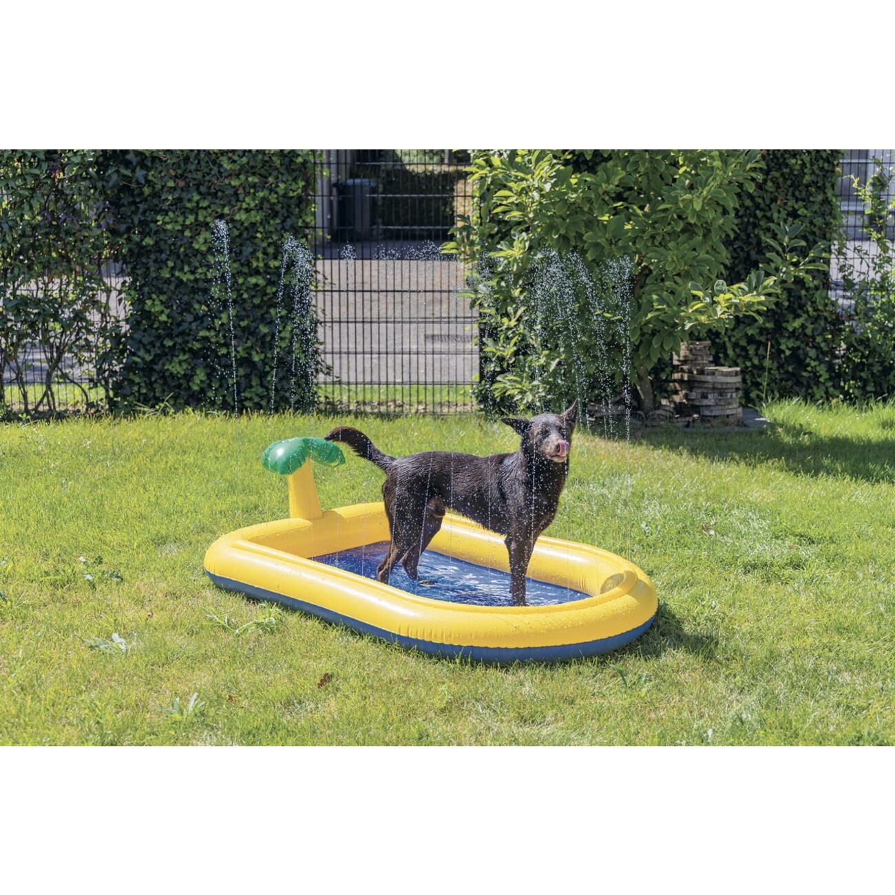 Hundepool Palmy Sprinkler Bild 2