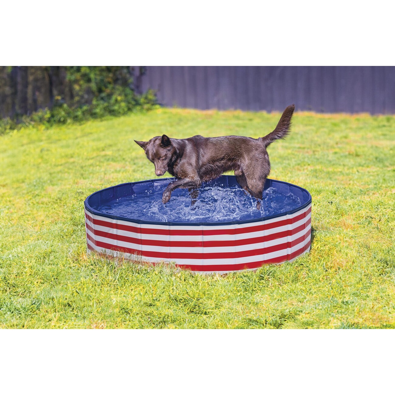 Beeztees Hundepool rot/weiß Bild 2
