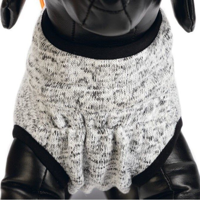 Hundepullover Celia Bild 6