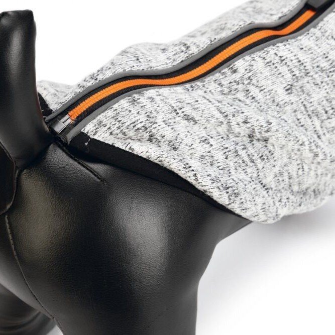 Hundepullover Celia Bild 7