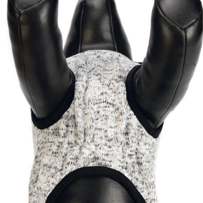 Hundepullover Celia Bild 10