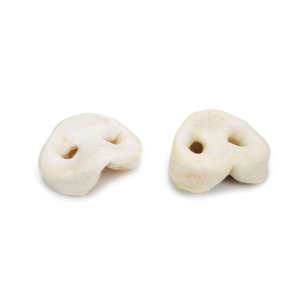 Beeztees Hundesnack Schweinenase geröstet Bild 2