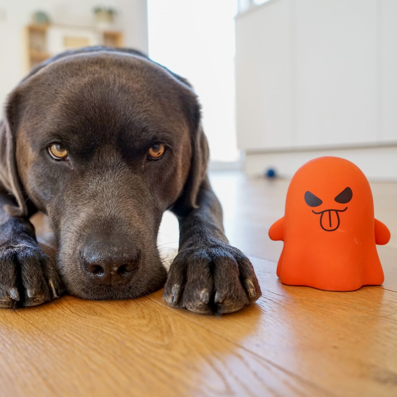 Hundespielzeug Geist Boe aus Latex Bild 3