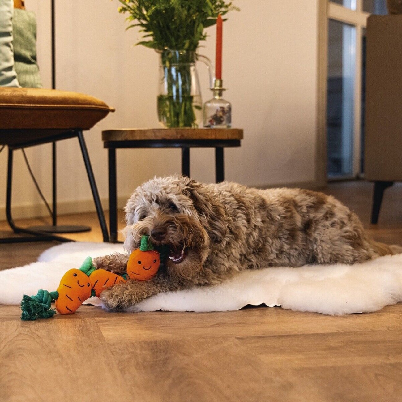 Hundespielzeug Osterkarotte mit Baumwollseil Bild 2