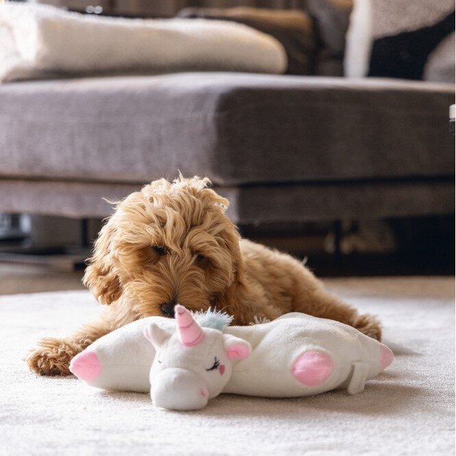 Hundespielzeug Wärmekissen Einhorn Bild 2