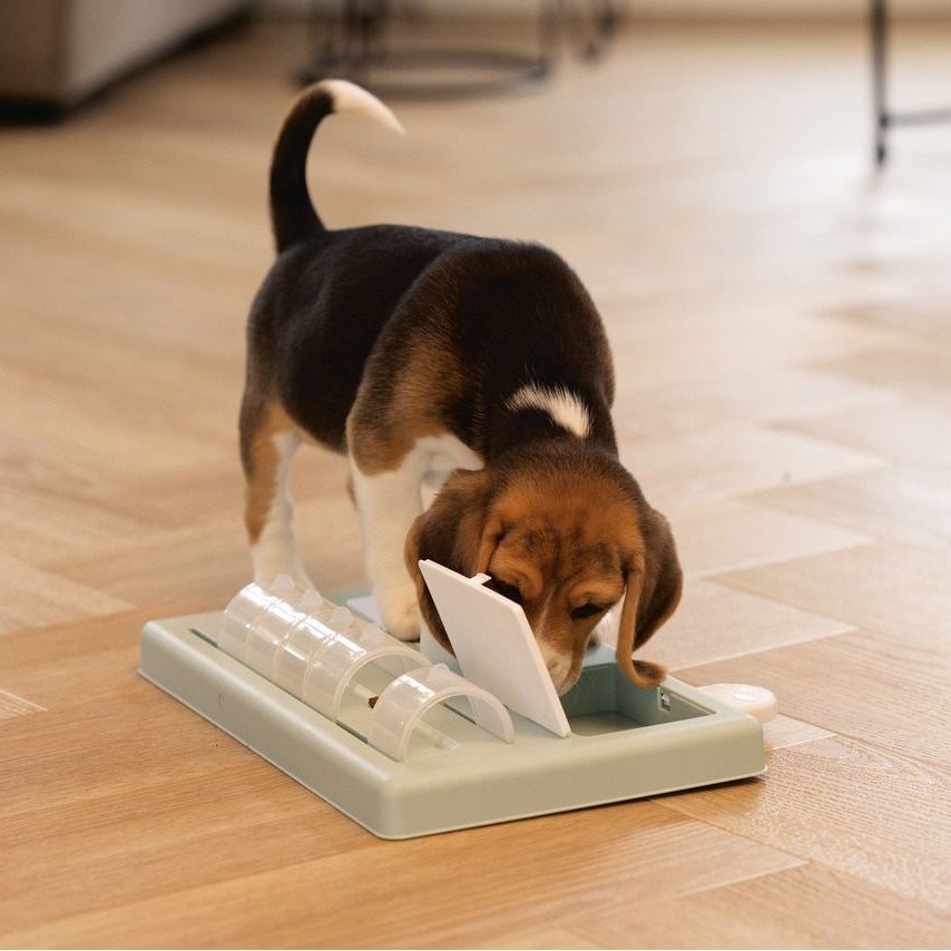 Intelligenzspielzeug für Welpen Bild 4