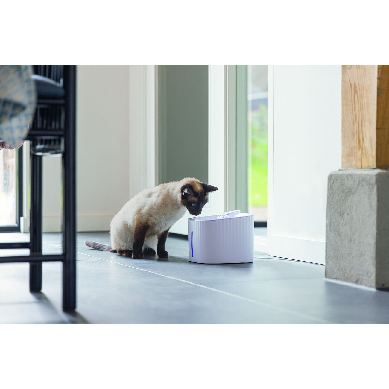 Katzentrinkbrunnen Sjors 3L Bild 2