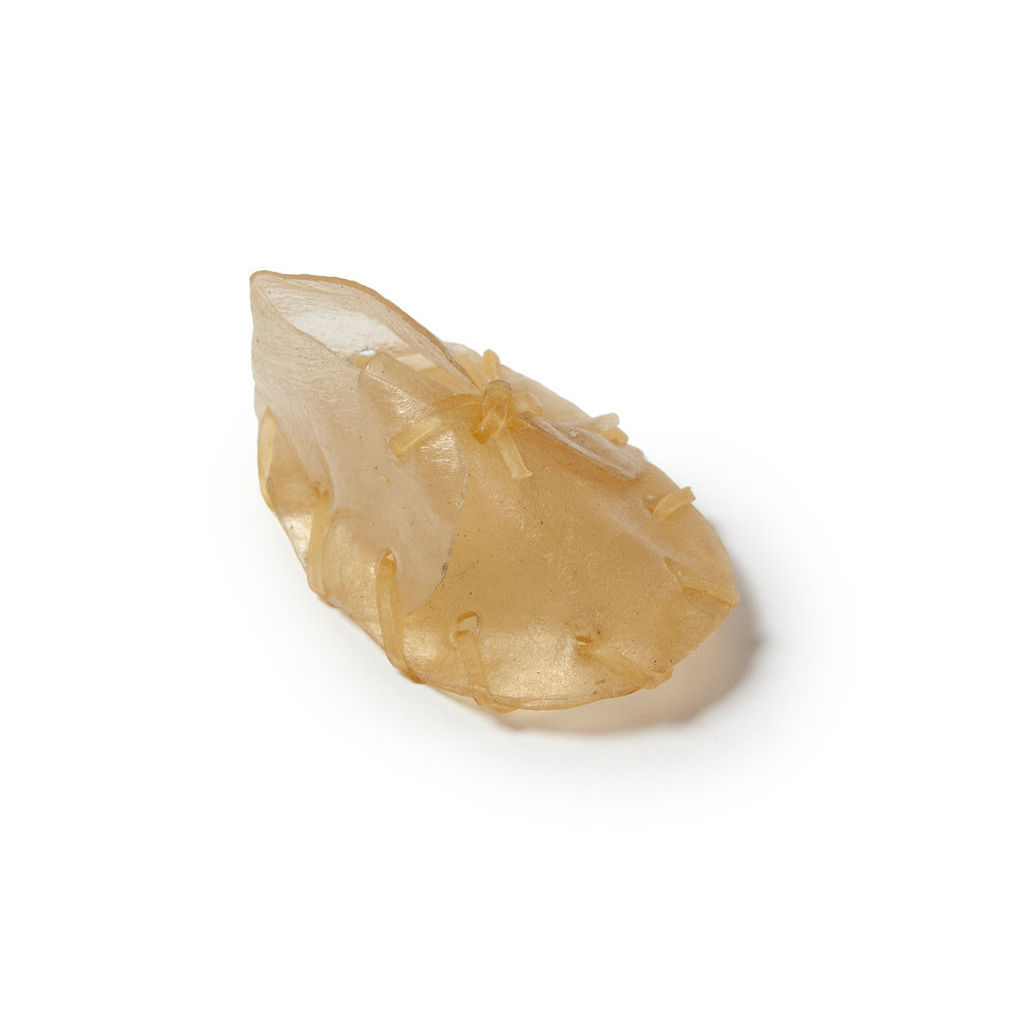 Beeztees Hundesnack Kauschuhe Rinderhaut für Hunde Bild 6