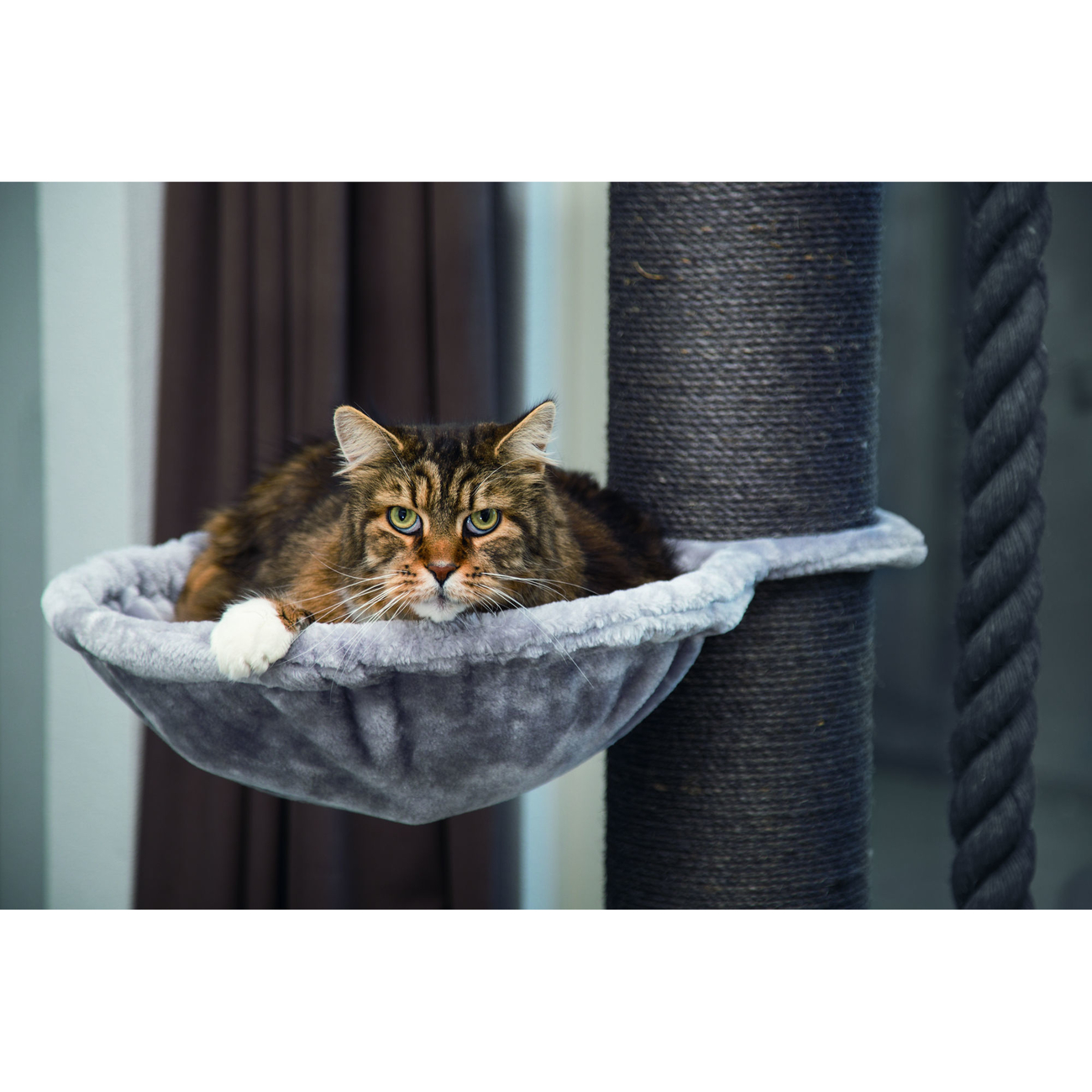 Beeztees Kratzbaum Havilo mit dickem Stamm Bild 6