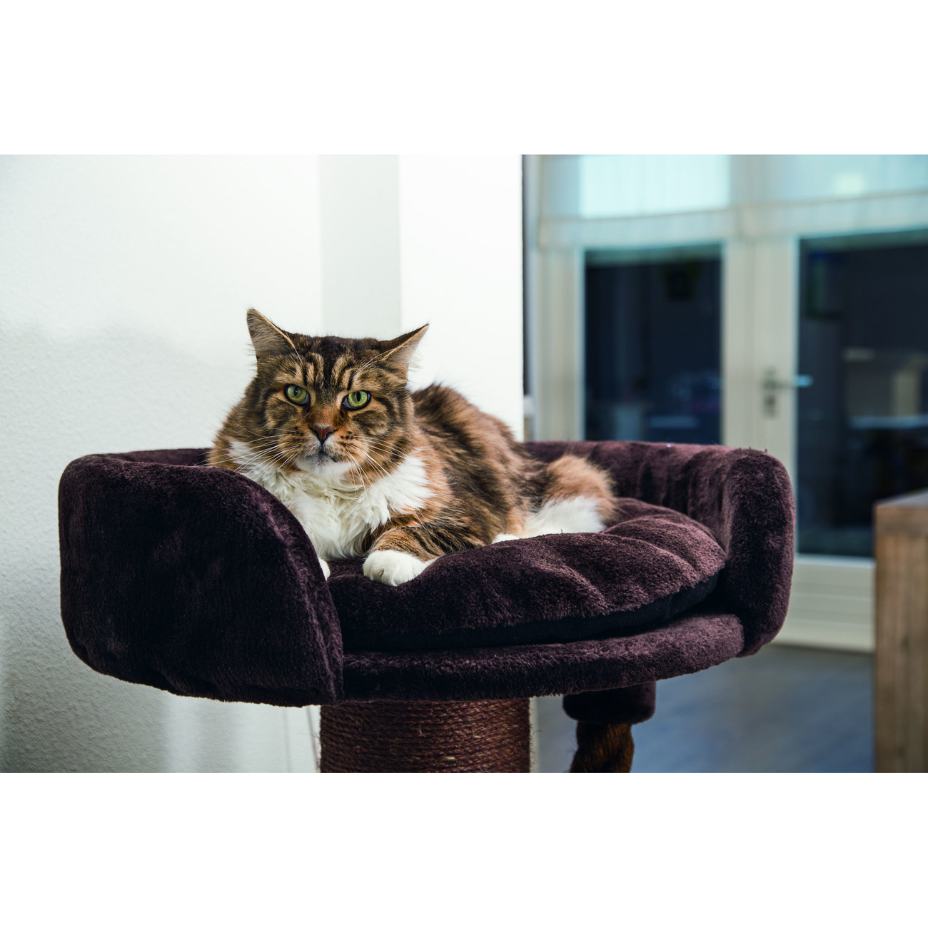 Beeztees Kratzbaum Tura dicker Stamm Bild 5