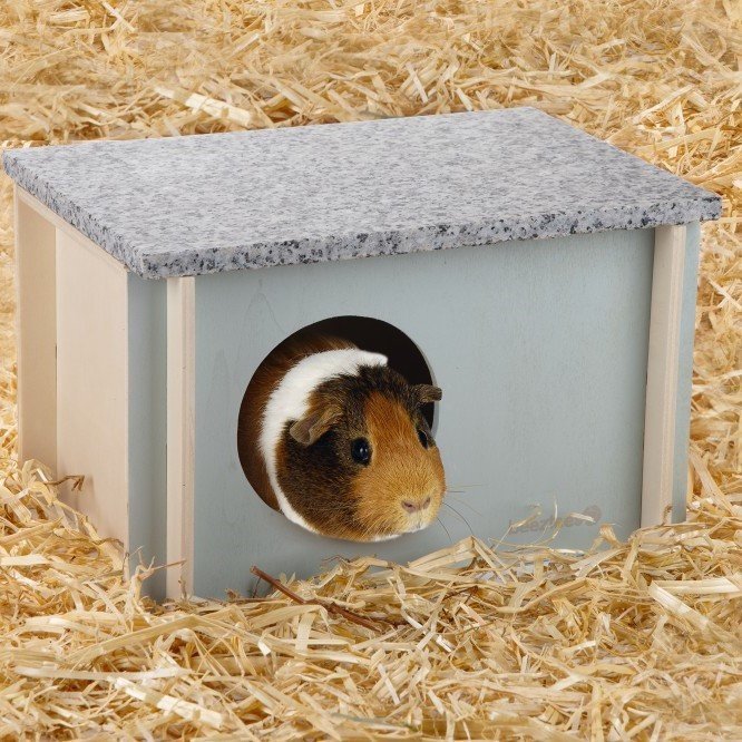 Kühlhaus Cico für Nager Bild 2