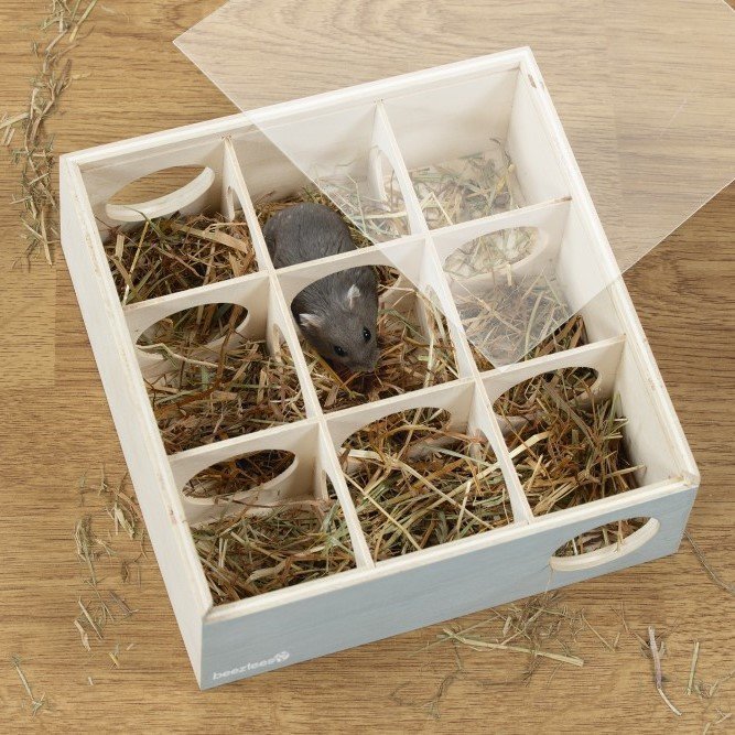 Labyrinth Cleo für Nager Bild 2