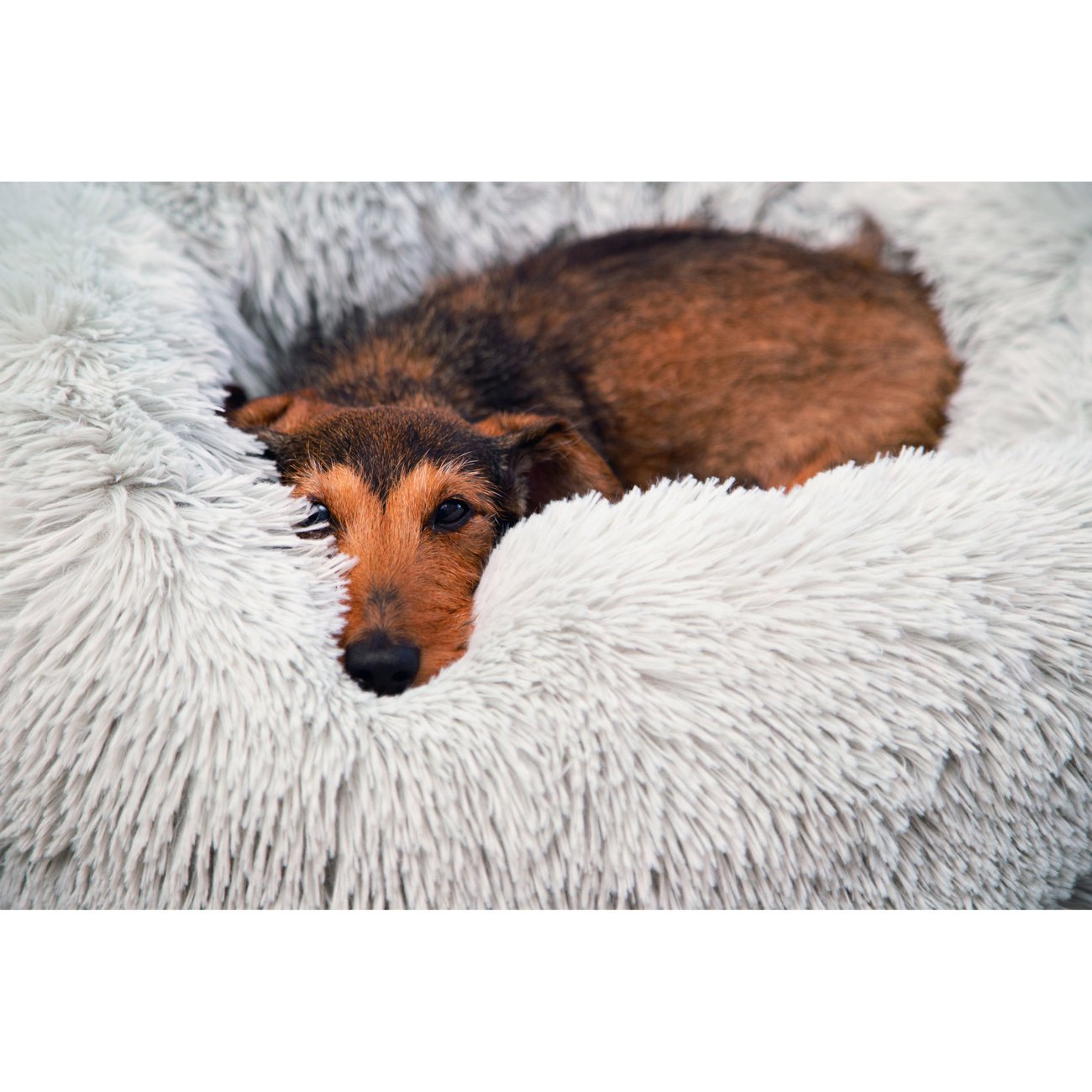 Langhaar Plüschbett Yali Bild 3