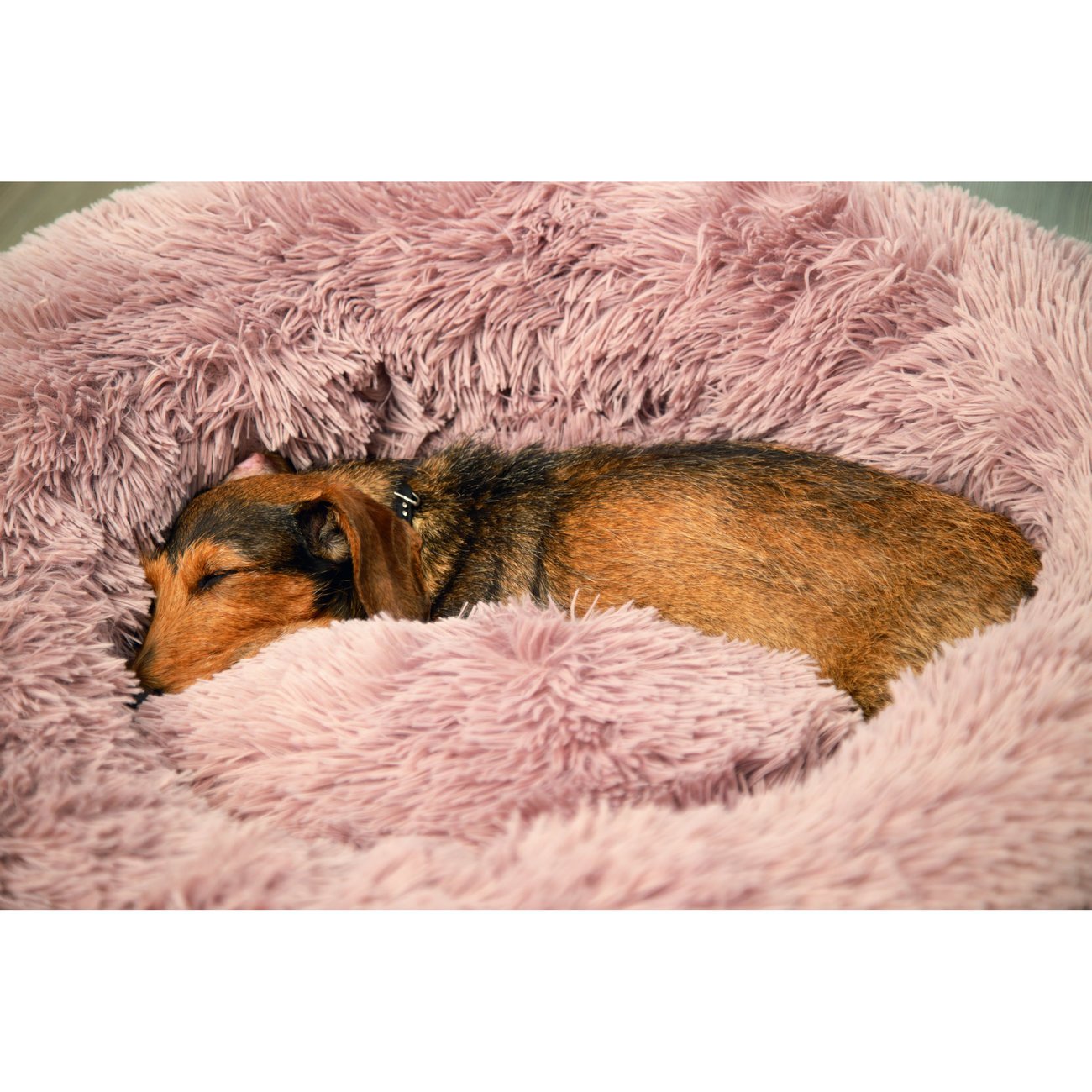 Langhaar Plüschbett Yali Bild 4