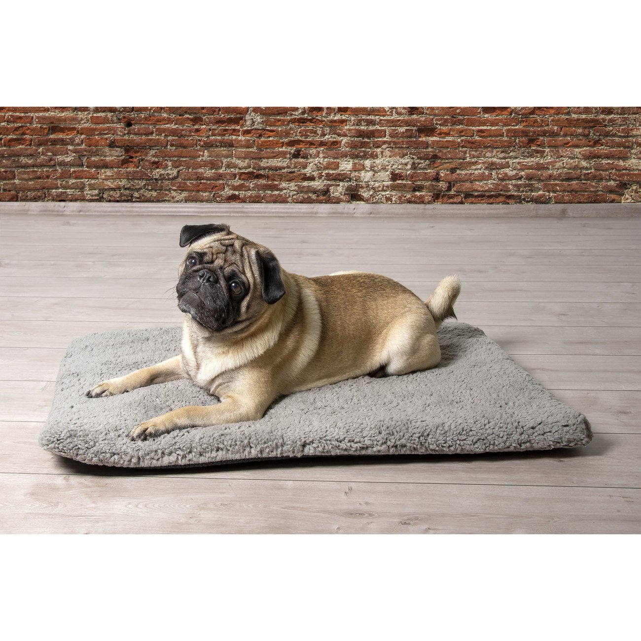 Beeztees Memoryfoam Liegekissen Ito für Hunde Bild 8