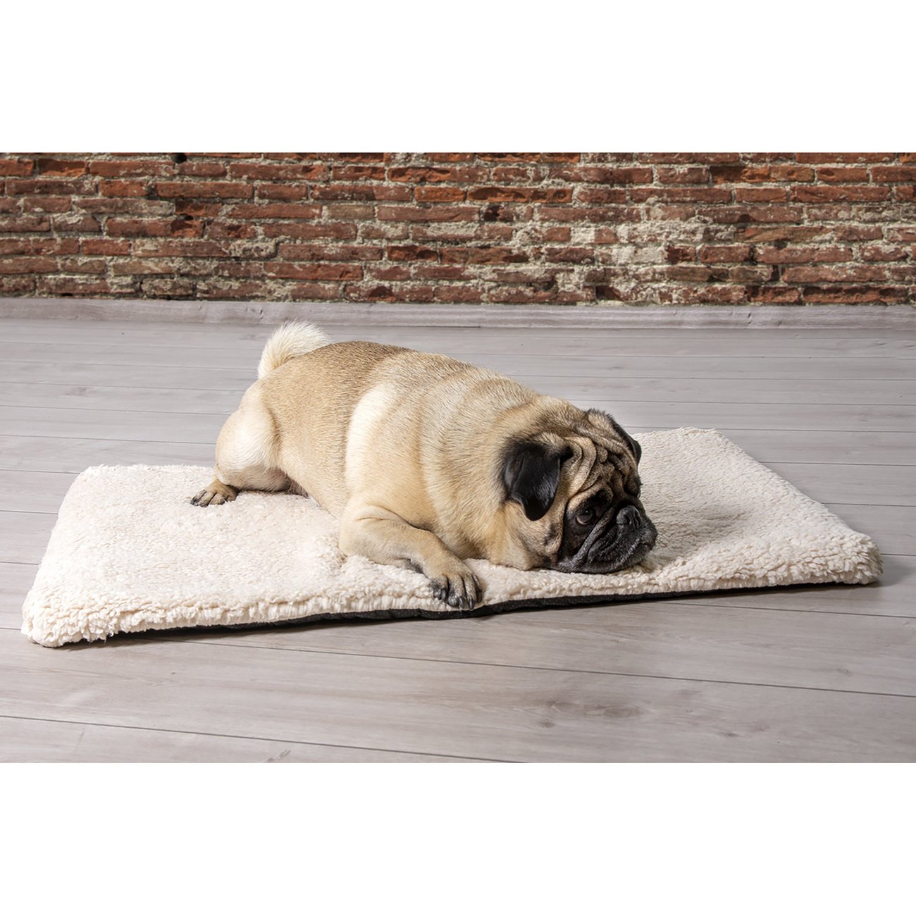 Beeztees Memoryfoam Liegekissen Ito für Hunde Bild 2