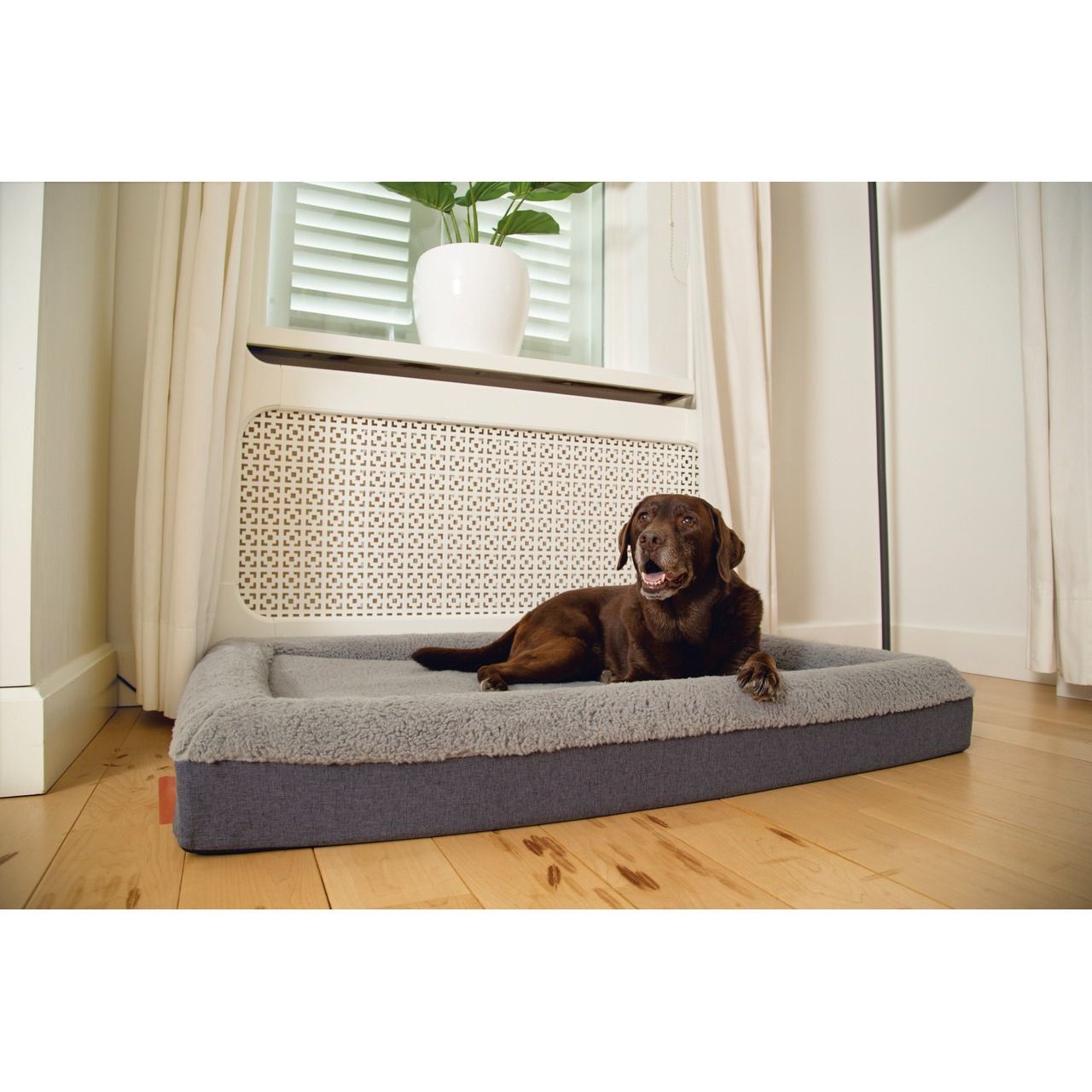 Beeztees Memoryfoam Liegekissen Yura für Hunde Bild 5