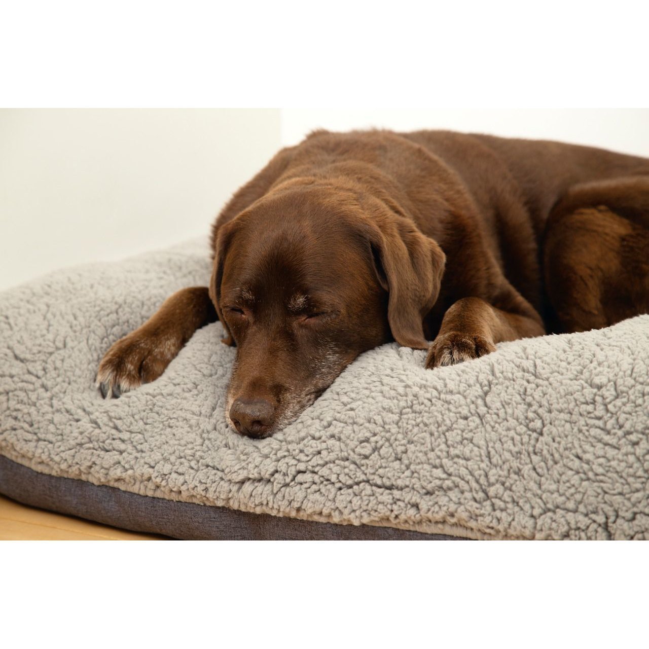 Beeztees Memoryfoam Loungekissen Ruba für Hunde Bild 4