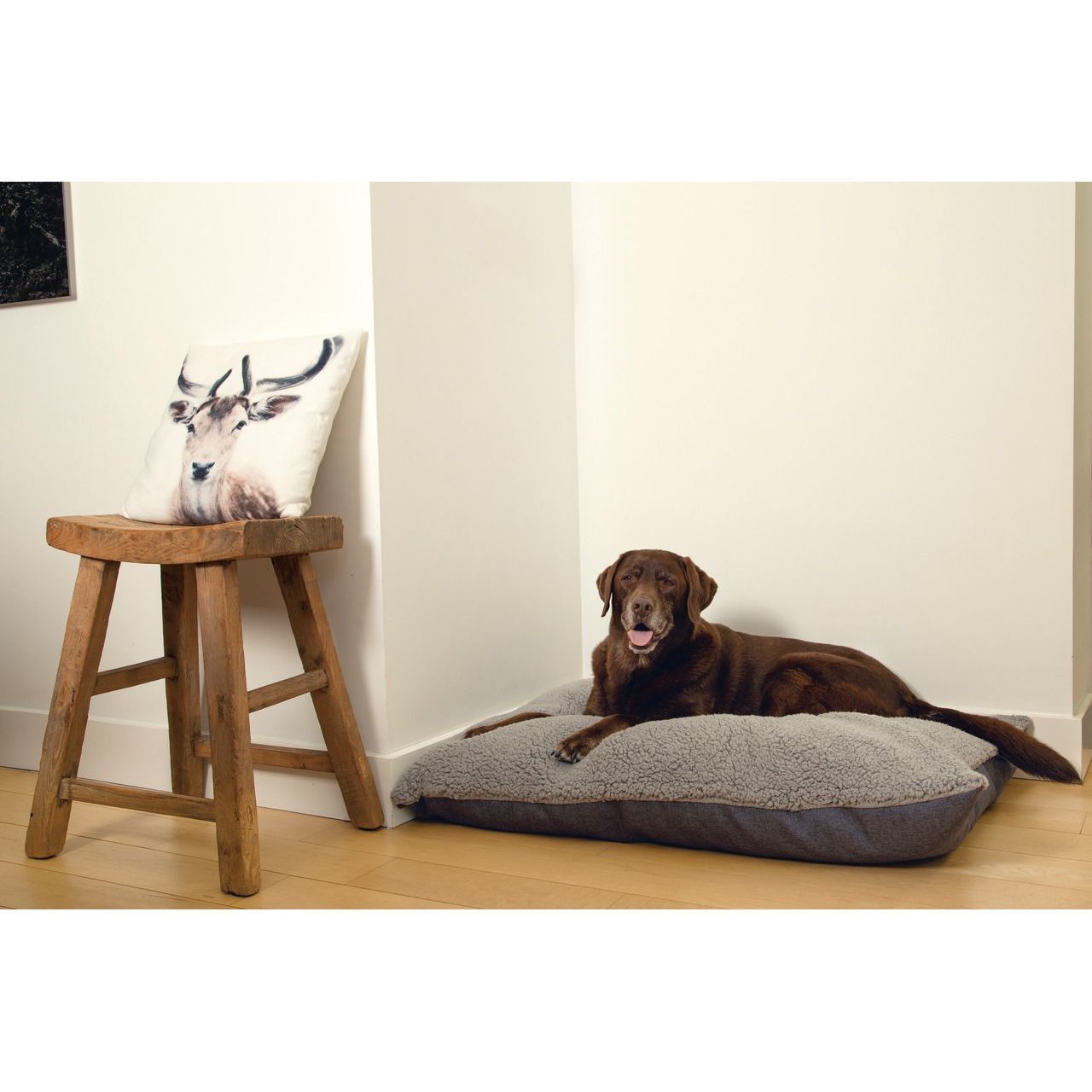 Beeztees Memoryfoam Loungekissen Ruba für Hunde Bild 5