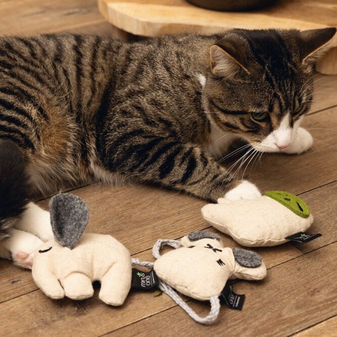 Minus One Elefant mit Katzenminze Bild 4