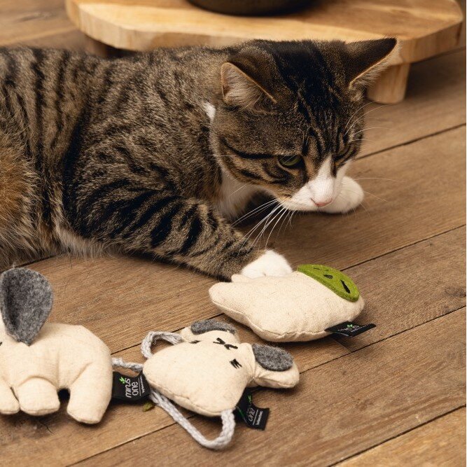 Minus One Katzenspielzeug Faultier Slowly Bild 2