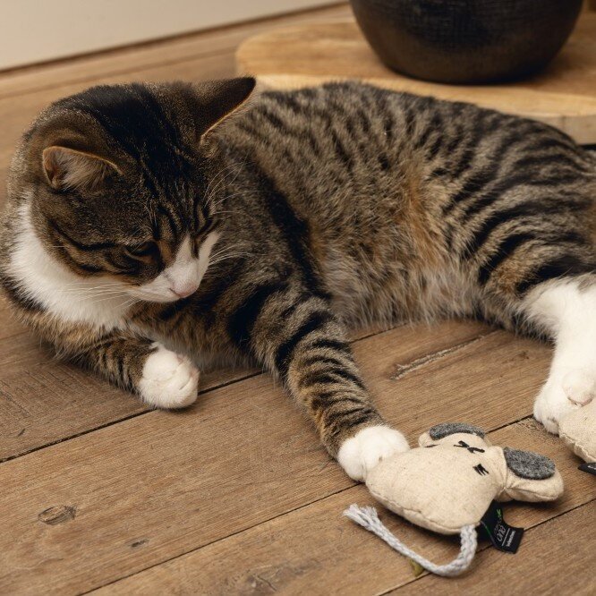 Minus One Katzenspielzeug Maus Coda Bild 3