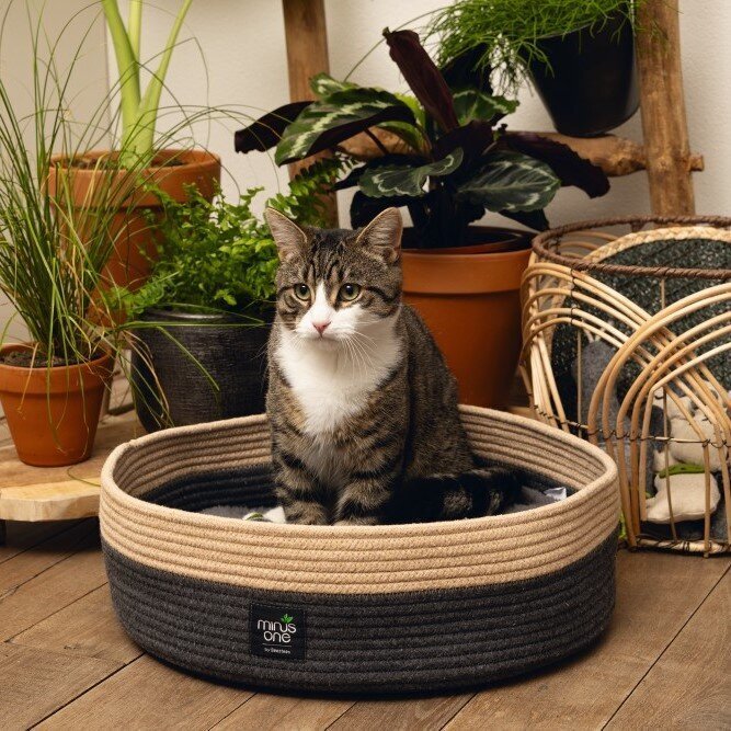 Minus One Nachhaltiger Katzenkorb Xana Bild 2