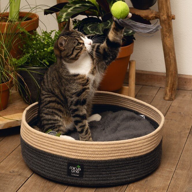 Minus One Nachhaltiger Katzenkorb Xana Bild 5