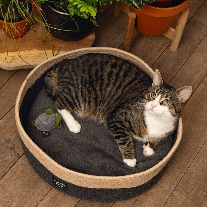 Minus One Nachhaltiger Katzenkorb Xana Bild 7