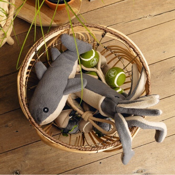 Minus One Nachhaltiges Hundespielzeug Wal Bild 2