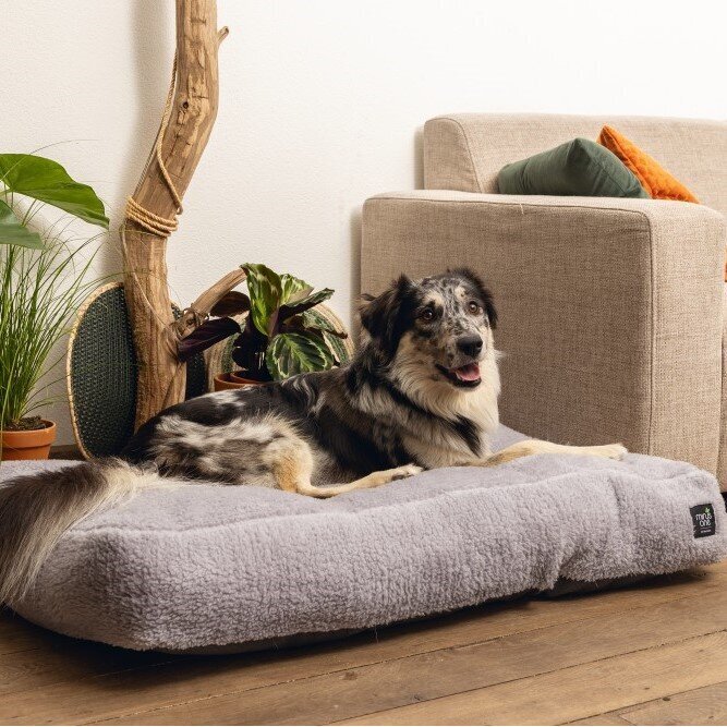 Minus One Nachhaltiges Liegekissen Don Bild 4