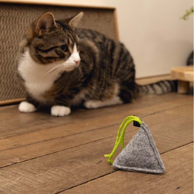 Minus One Nachhaltiges Spielzeug Pyramide Bild 2