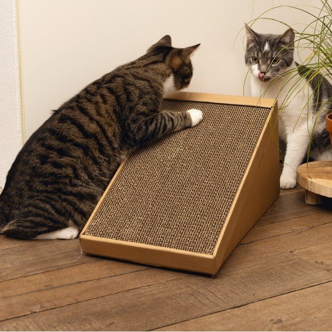 Minus One Recycelbare Kratzrampe Bild 3