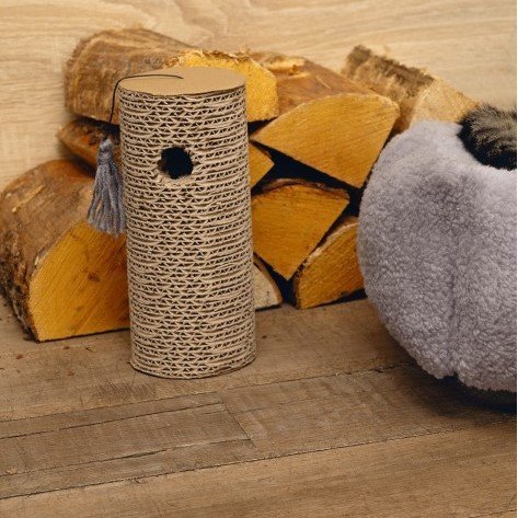 Minus One Recycelbarer Kratzzylinder Bild 2