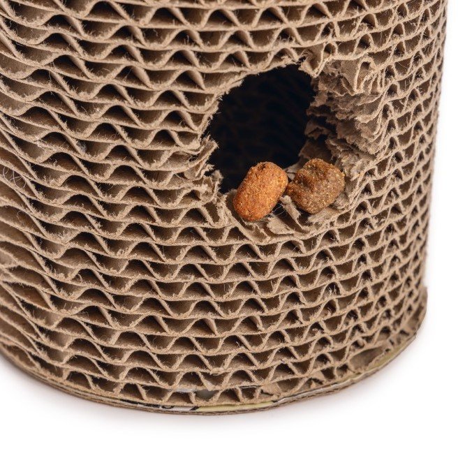 Minus One Recycelbarer Kratzzylinder Bild 4