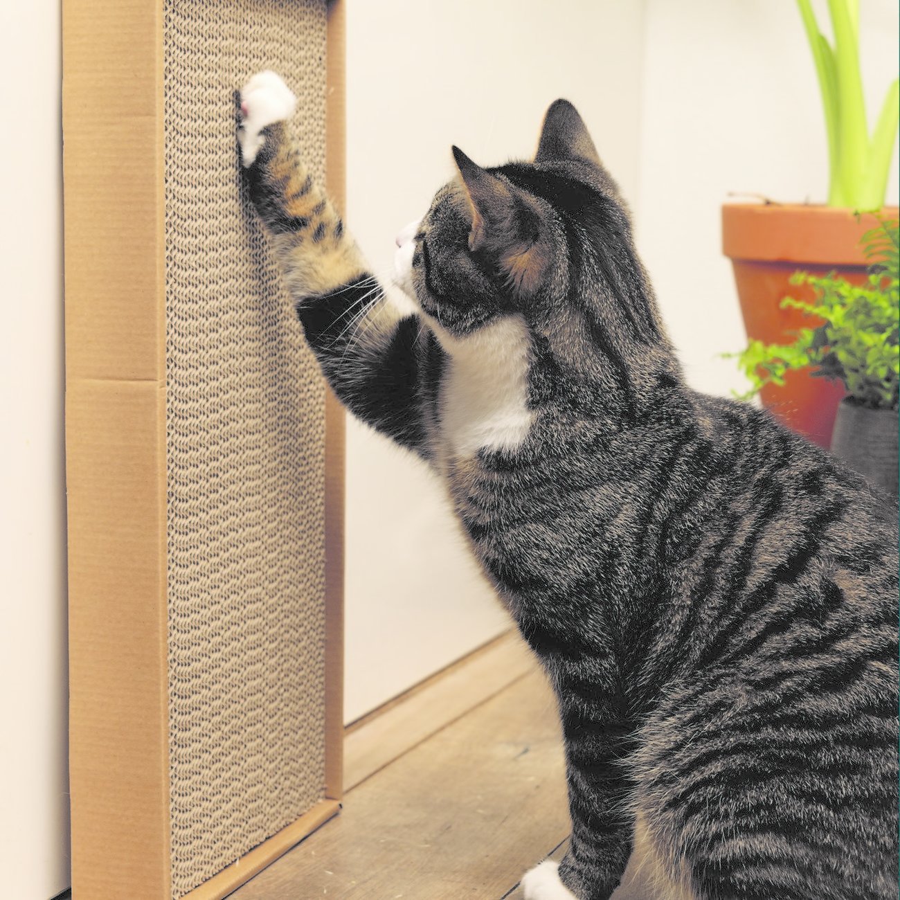 Minus One Recycelbares Kratzbrett Bild 2