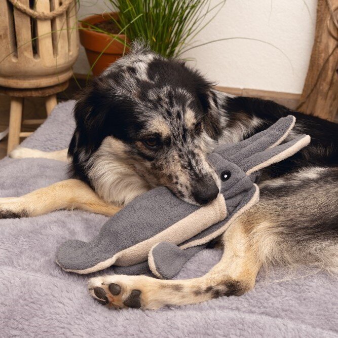 Minus One Recyceltes Hundespielzeug Oktopus Bild 2