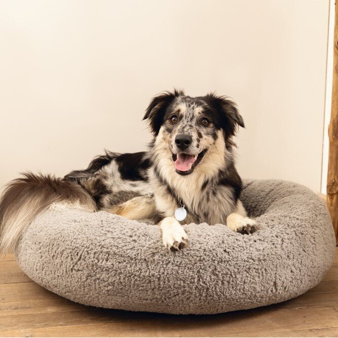 Orthopädisches Hundebett Jaxx, rund Bild 15