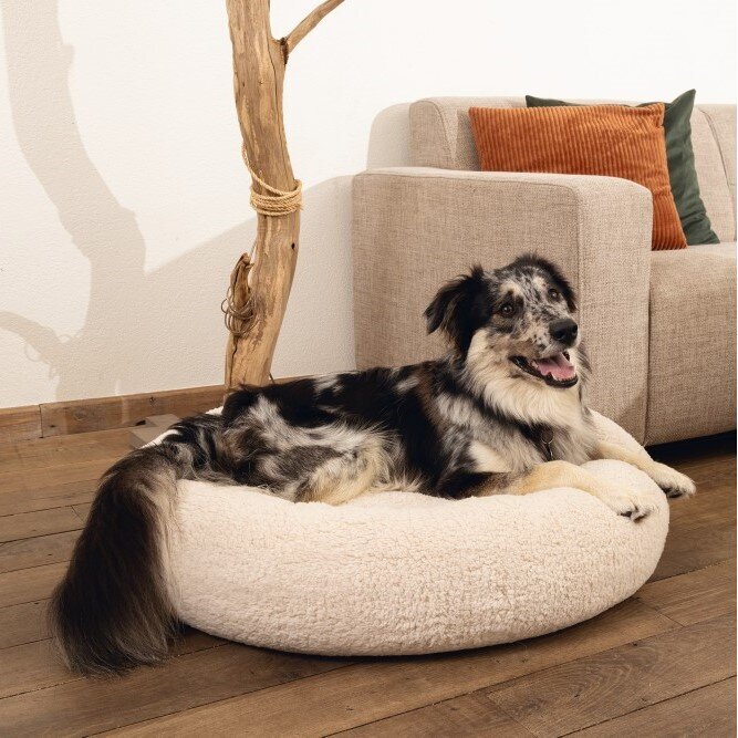 Orthopädisches Hundebett Jaxx, rund Bild 8