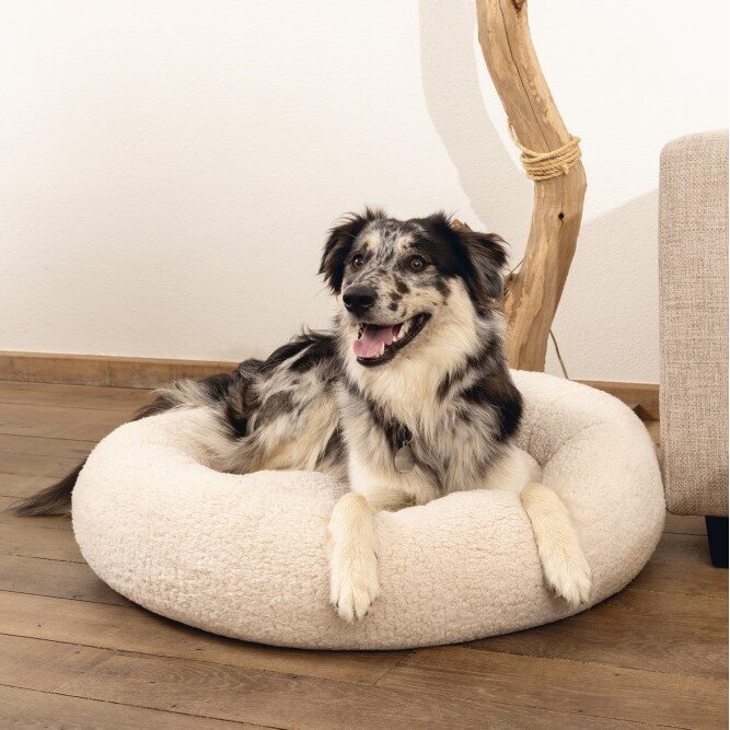 Orthopädisches Hundebett Jaxx, rund Bild 2