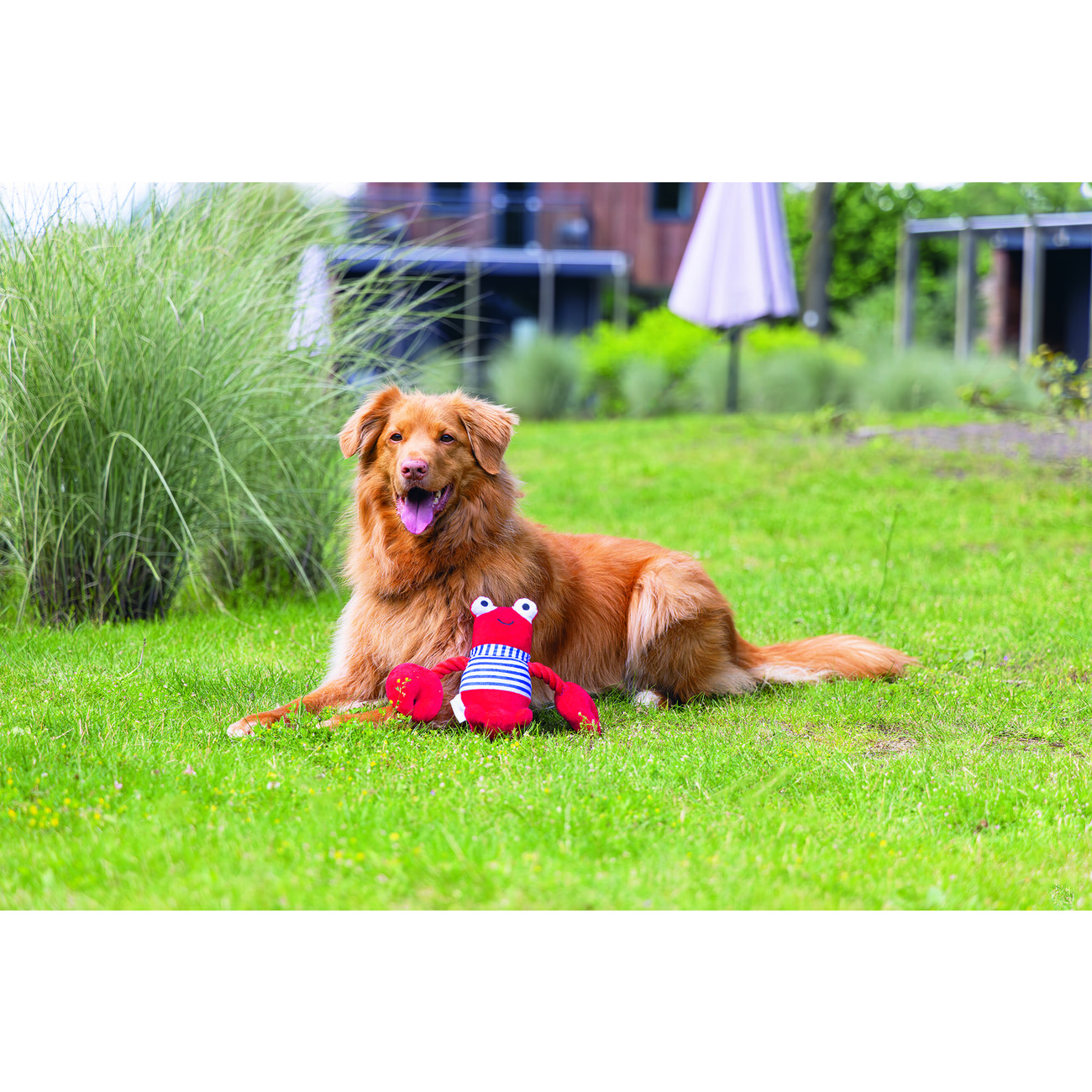 Plüsch Hundespielzeug Hummer Frits Bild 2