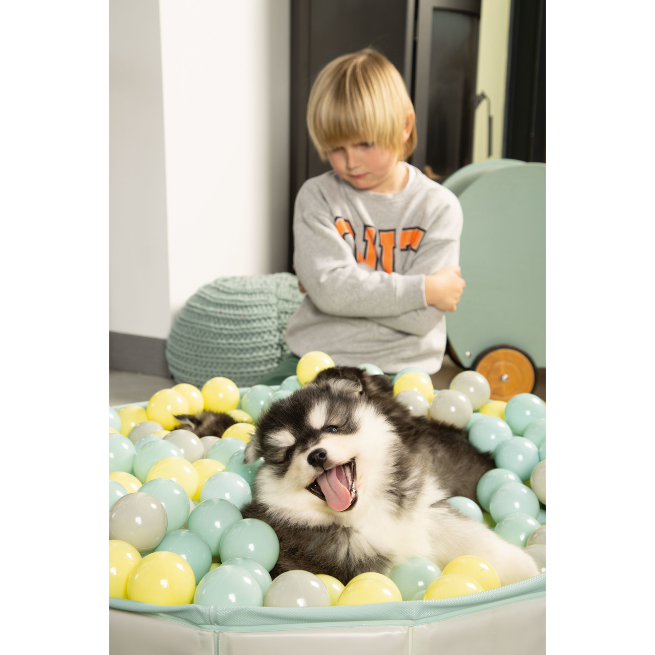 Beeztees Puppy Bällebad Hundepool Funchie Bild 6