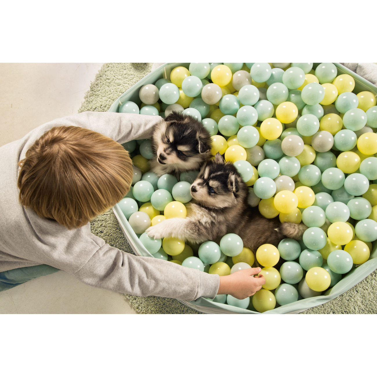 Beeztees Puppy Bällebad Hundepool Funchie Bild 8