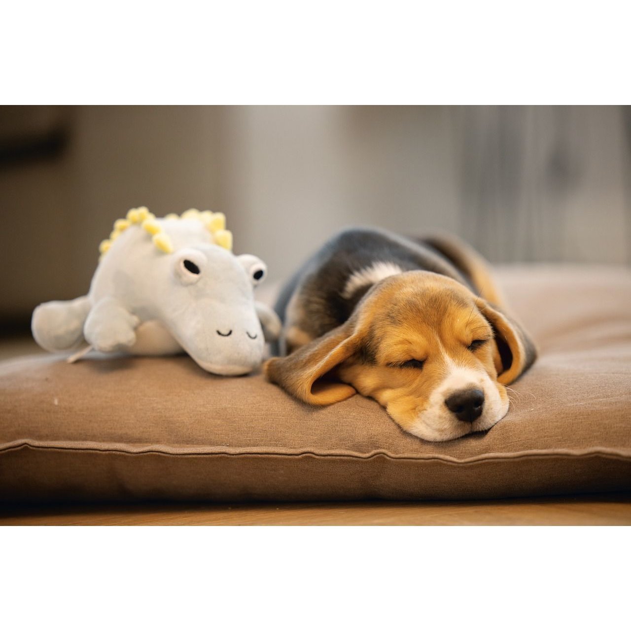 Puppy Dinosaurier Vince Hundespielzeug Bild 2