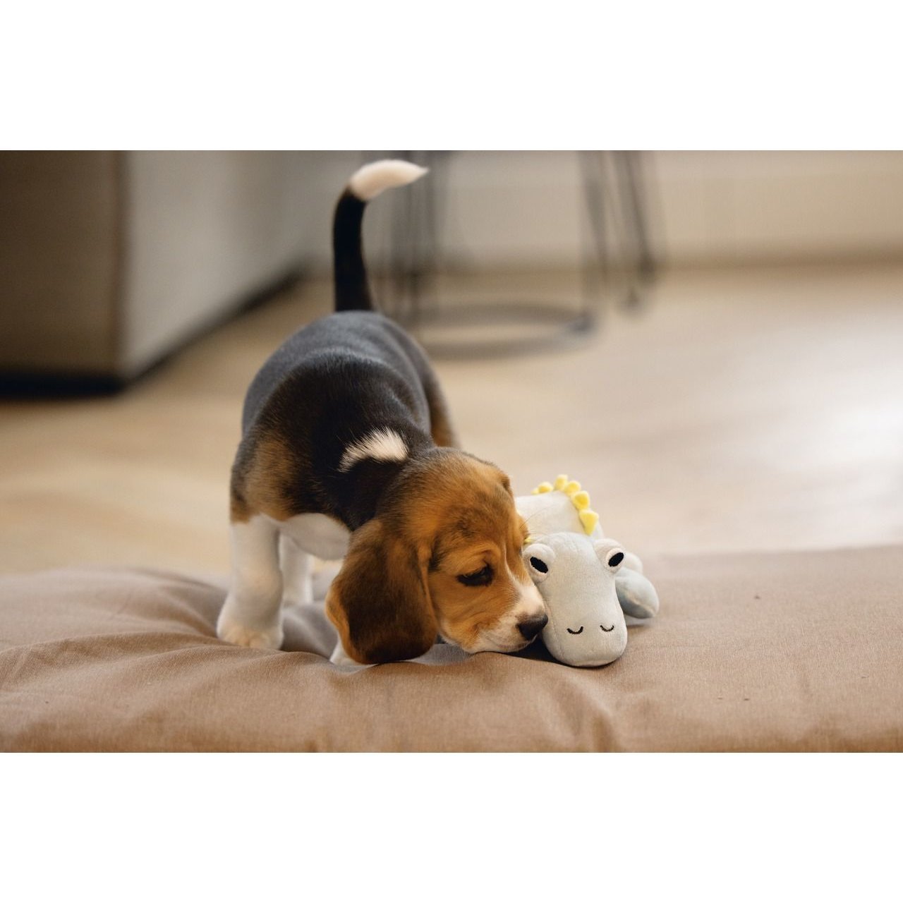 Puppy Dinosaurier Vince Hundespielzeug Bild 3