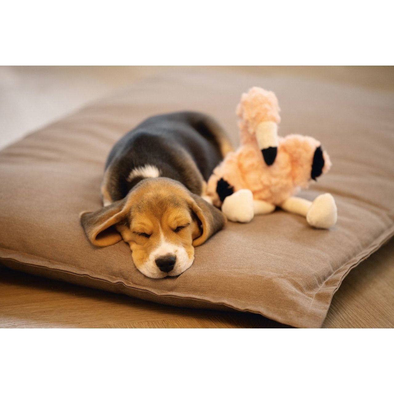 Puppy Flamingo Mick Hundespielzeug Bild 2