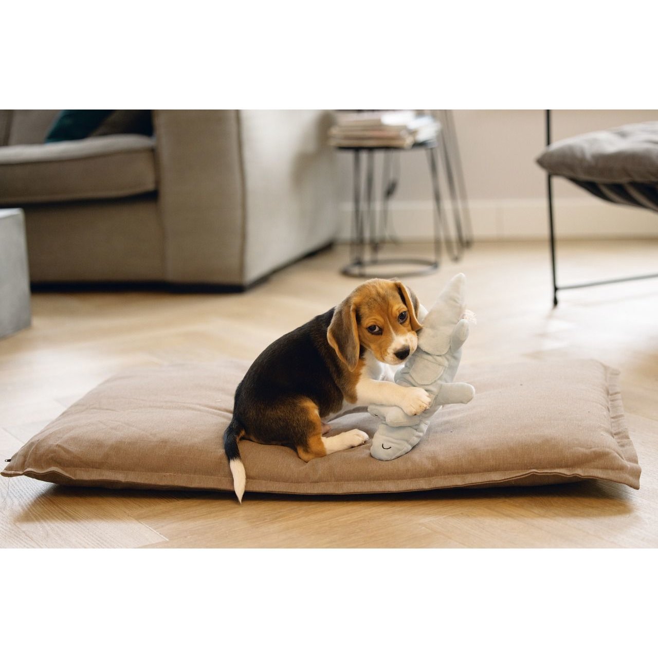 Puppy Krokodil Jake Hundespielzeug Bild 2