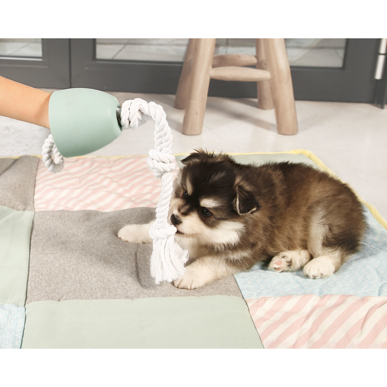 Beeztees Puppy Pullina Zieh- und Kauseil mit Handschutz Bild 4