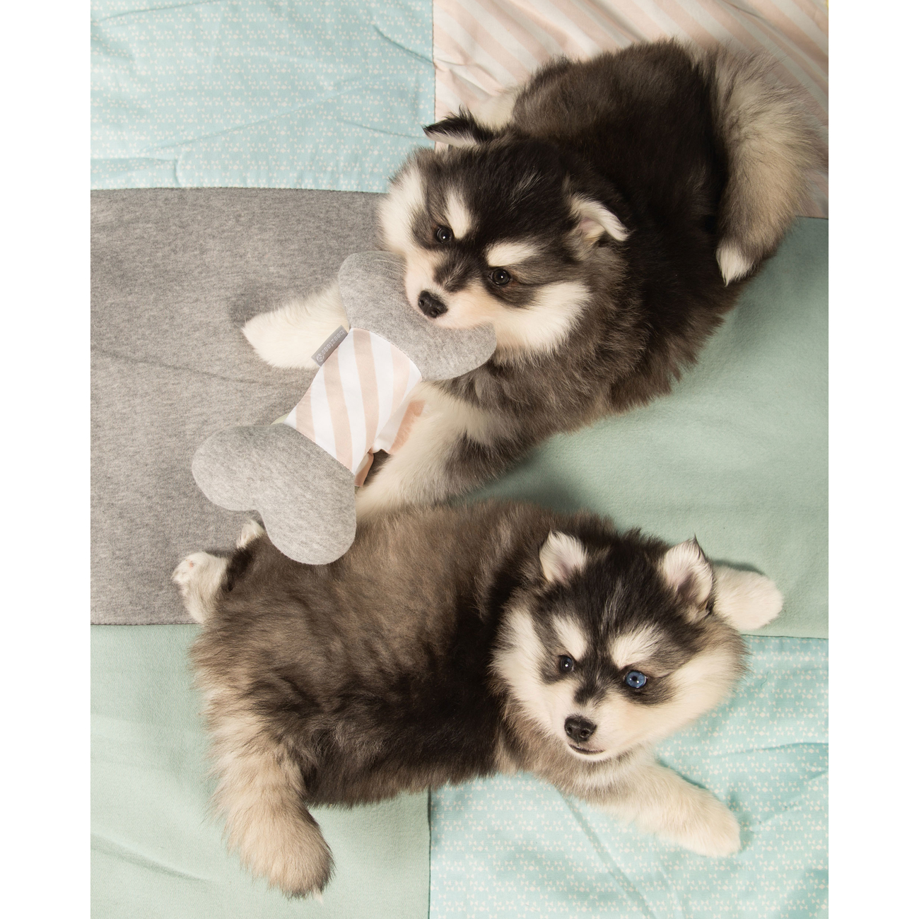 Beeztees Puppy Quilty Plaid Welpendecke Bild 6