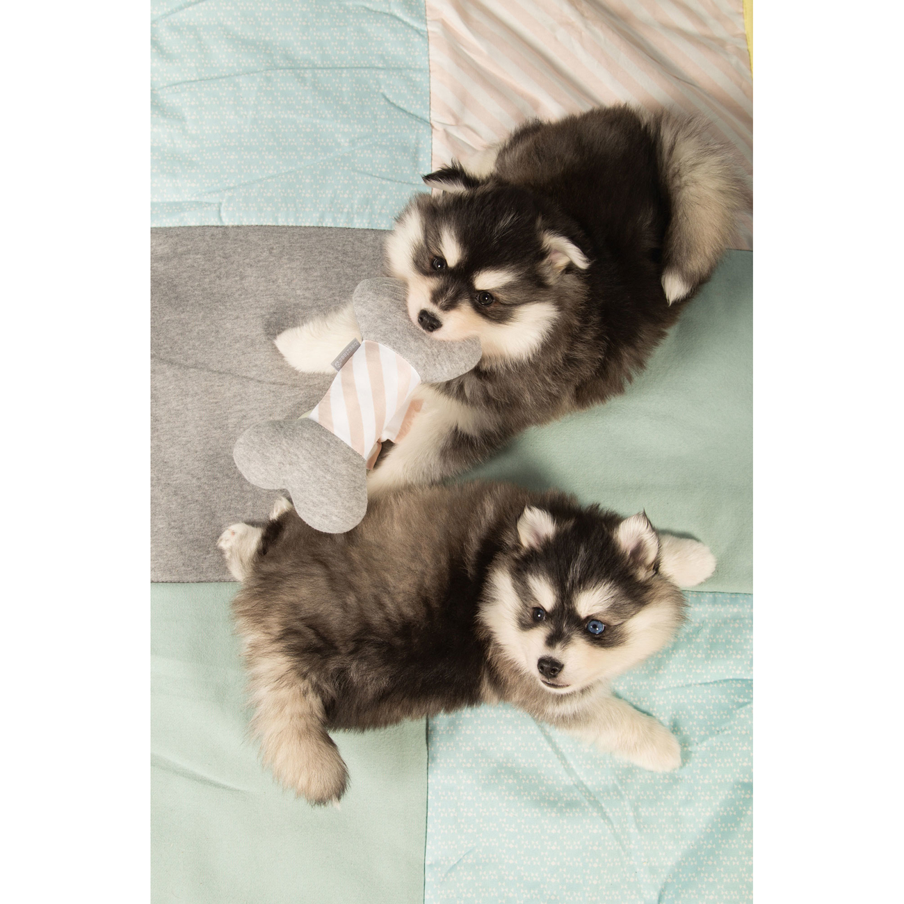 Beeztees Puppy Spielknochen Bild 3